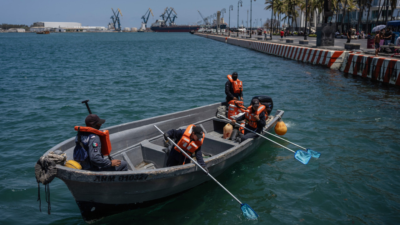 Μεξικό: Ακτιβιστές ανακάλυψαν περισσότερα από 1.000 θραύσματα οστών