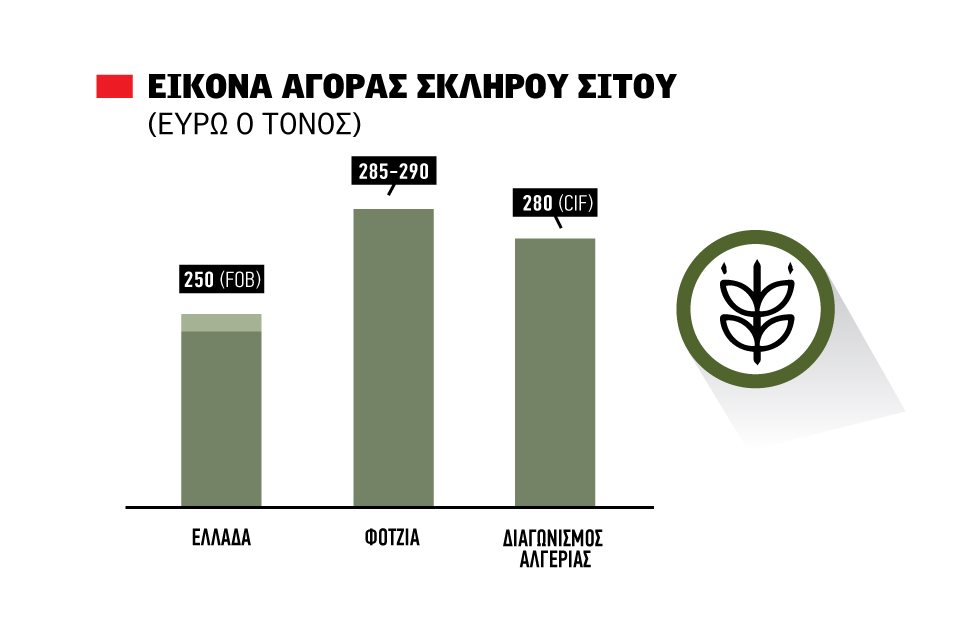 Όσο αντέχει έχει προοπτική να ανέβει το σκληρό σιτάρι στα 250 ευρώ τιμή εξαγωγής