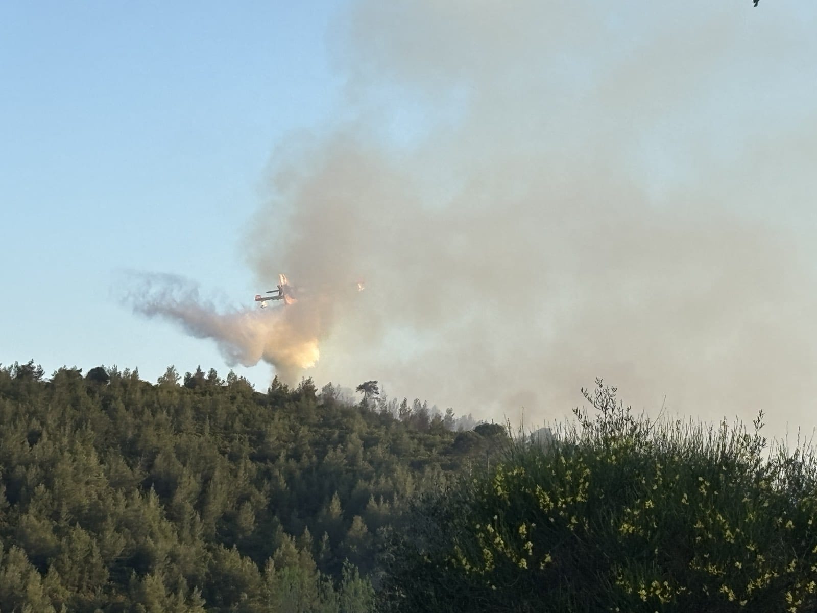 Φωτιά τώρα σε δασική έκταση στη Σκιάθο