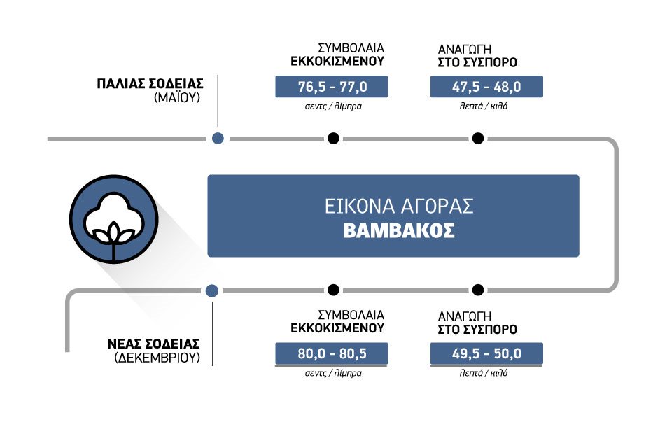Σε υψηλό διετίας οδηγεί η ανοδική τάση στο βαμβάκι φλερτάρει με 50 λεπτά η τιμή για σύσπορο νέας σοδειάς