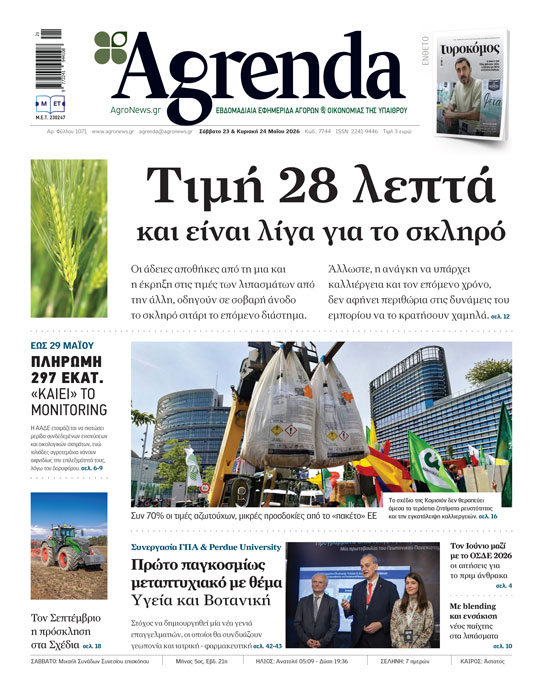 Ανάχωμα στην αφωνία της αγοράς ηλίανθου η τιμή για 40 λεπτά στην Ορεστιάδα