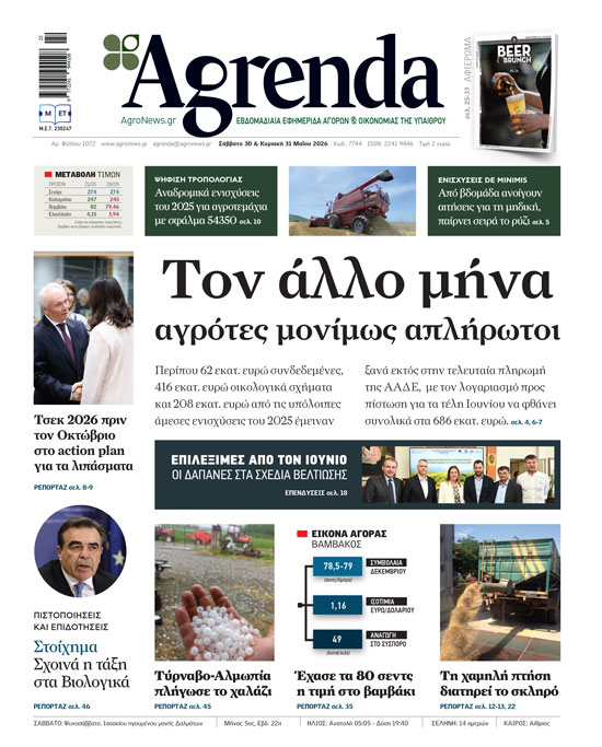 Πτώση 3% της παγκόσμιας παραγωγής των σιτηρών καταγράφει έρευνα του IGC