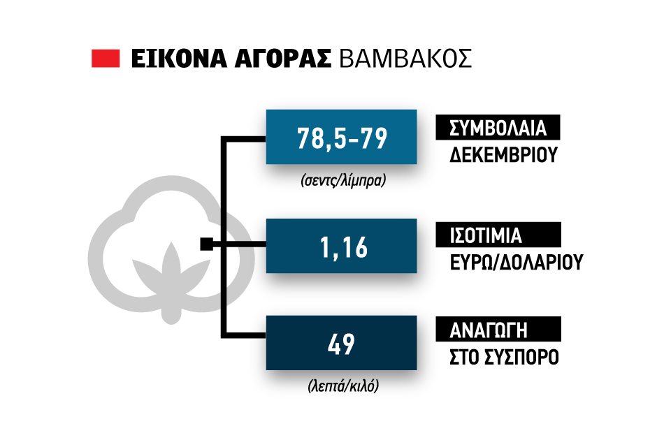 Σύννεφα μετά από καιρό για βαμβάκι έπεσε κάτω από 80 σεντς η τιμή νέας σοδειάς