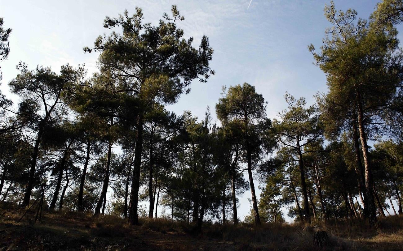 Ενημερωτική καμπάνια για τον καθαρισμό οικοπέδων και την πρόληψη πυρκαγιών