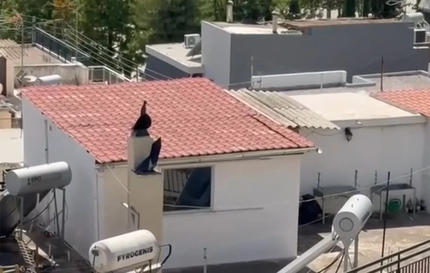 Ποινή φυλάκισης 16 μηνών, με αναστολή, στους γονείς των έξι παιδιών που ζούσαν μέσα σε ακαθαρσίες στο Περιστέρι – Το δώμα των 27 τ.μ