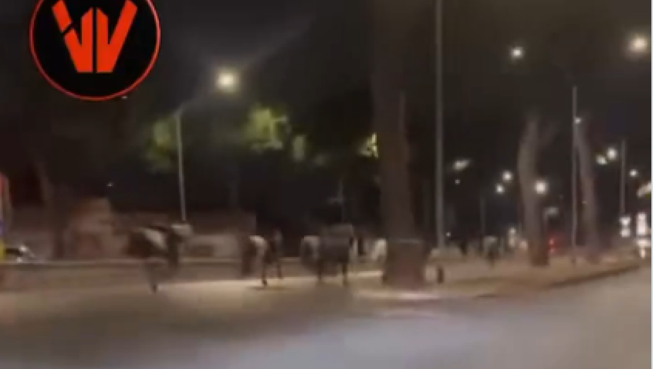 Ρώμη: Άλογα ελεύθερα σε κεντρικό δρόμο - 5 τραυματίες - Βίντεο