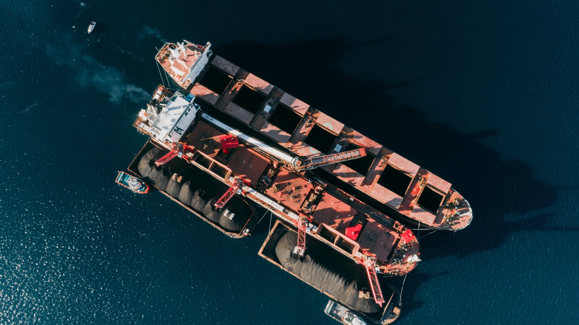 Robust exports drive growth in bulk carrier sector