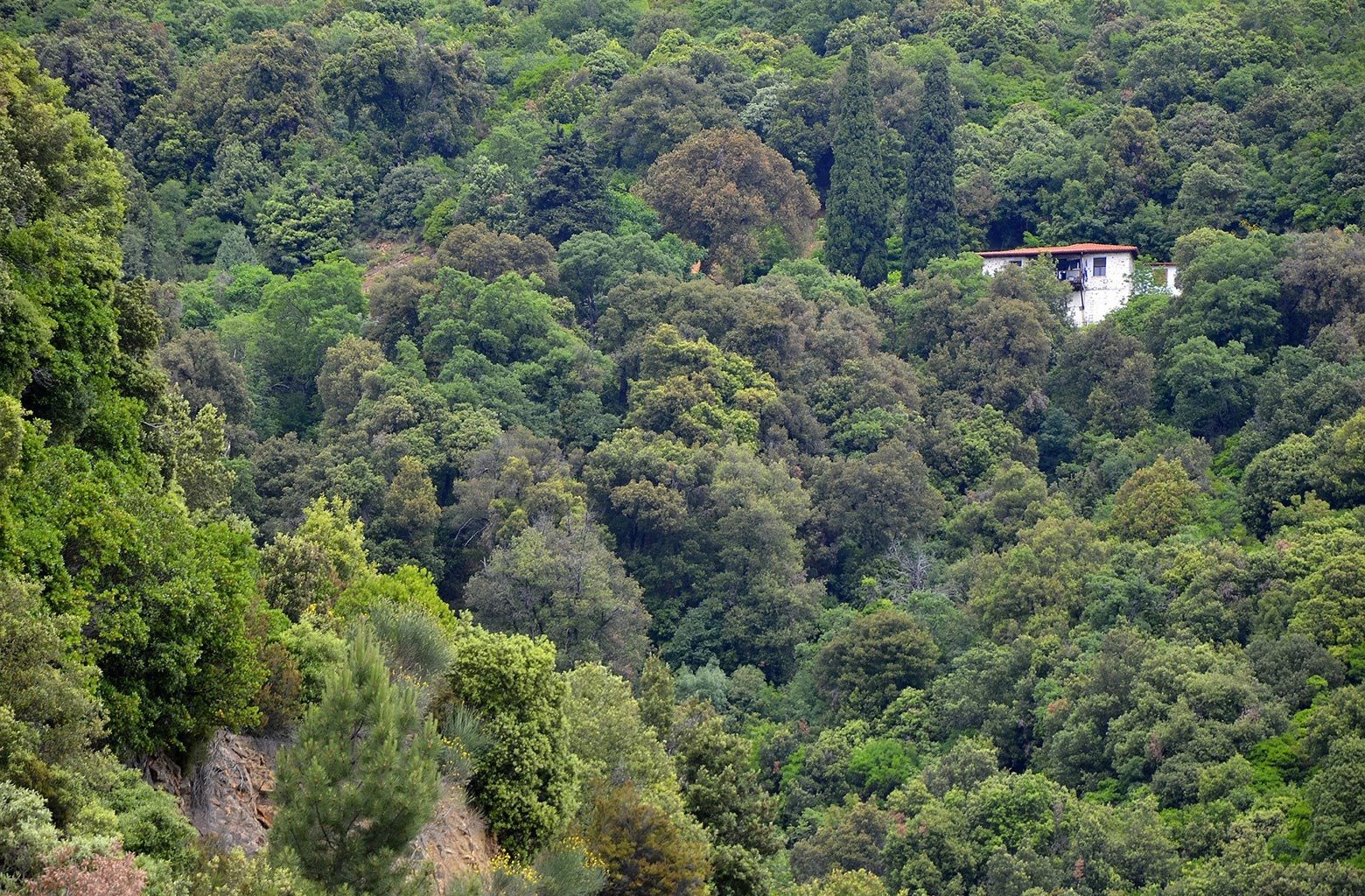 Ξεμπλοκάρονται αγοραπωλησίες και γονικές παροχές που «έβρισκαν» στα Δασαρχεία