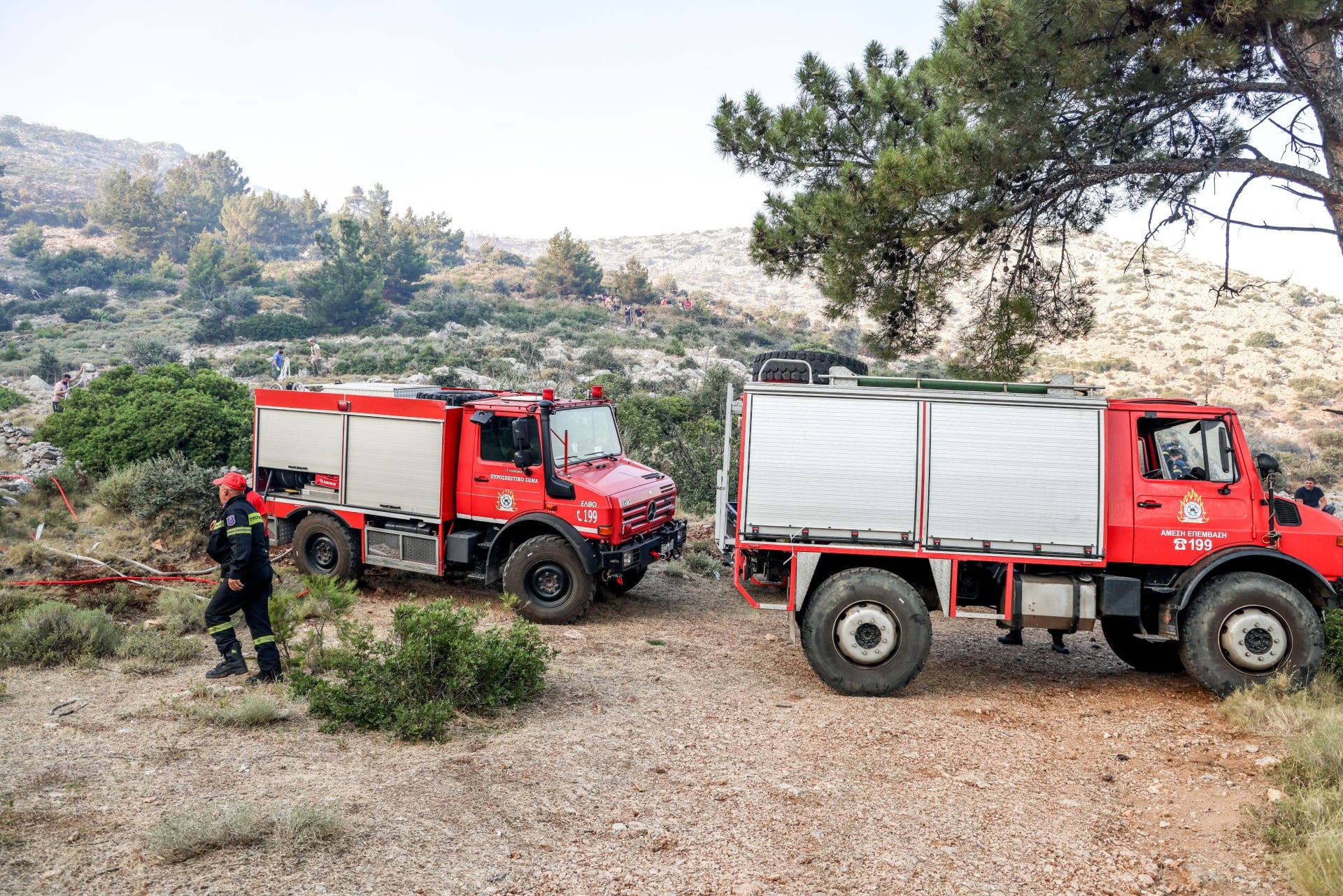 Πάτρα: Φωτιά τώρα στη Λεύκα – Ήχησε το 112