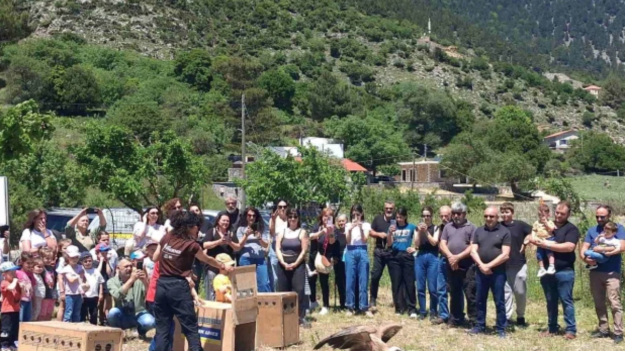 Πραγματοποιήθηκε απελευθέρωση αρπακτικών πτηνών στο Ασκύφου Σφακίων