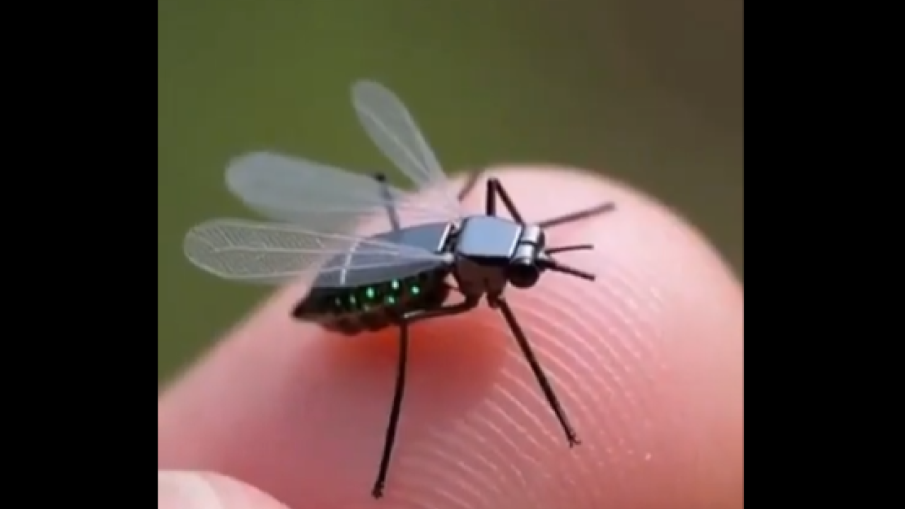Κίνα: Παρουσίασε micro-drone σε σχήμα και μέγεθος μύγας - Βίντεο
