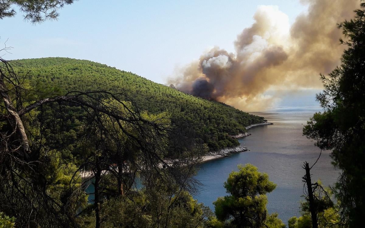 Φωτιά τώρα στην Σκόπελο - Στο σημείο και εναέρια μέσα