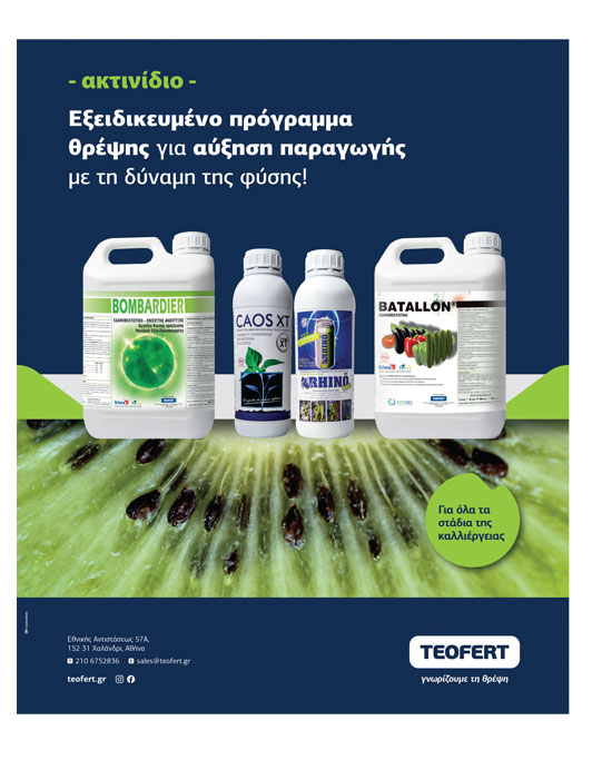 Μόνο με σωστή θρέψη κατά την καρπόδεση τα κατάλληλα χαρακτηριστικά που αφήνουν καλό εισόδημα στα ακτινίδια