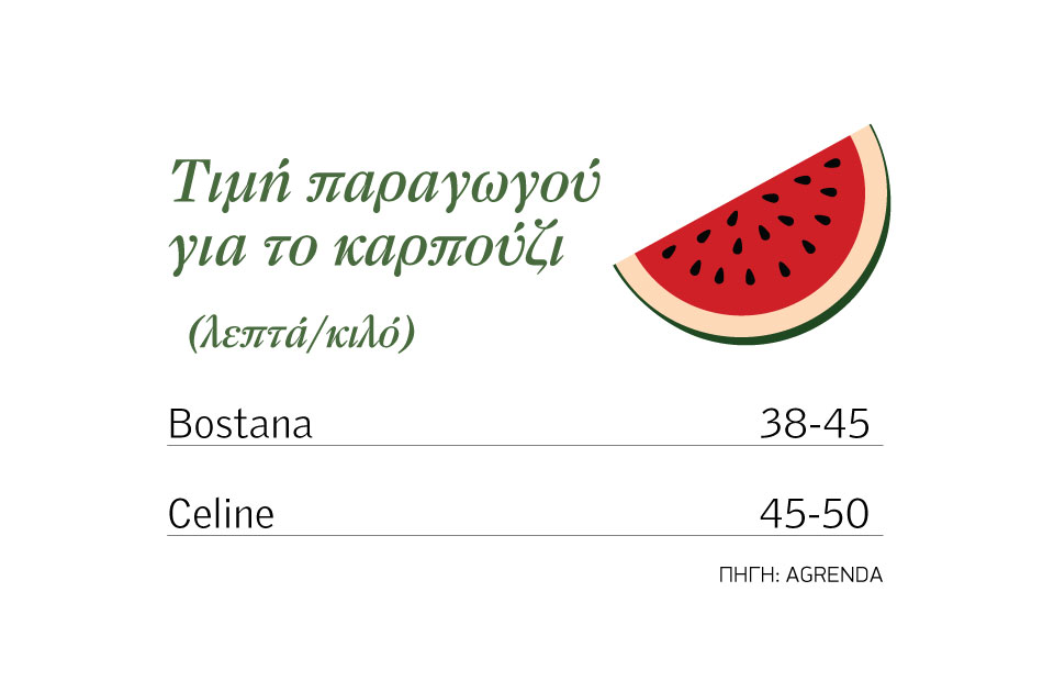 Έως και 50 λεπτά τα υπαίθρια καρπούζια στην Ηλεία