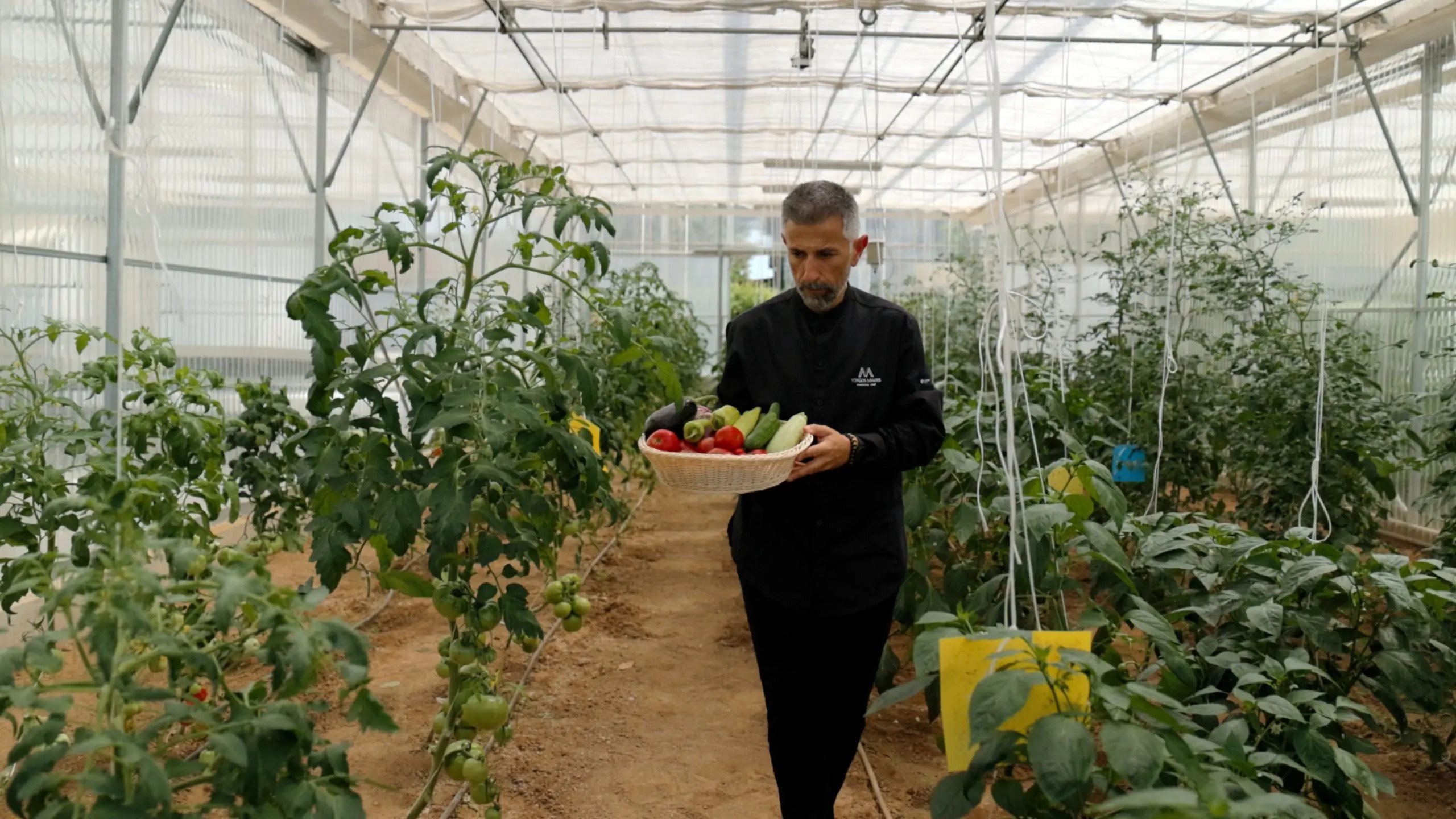 Επαγγελματίες που κατανοούν σε βάθος το τρόφιμο θα γεννήσει η νέα ειδικότητα «Τεχνικός Μαγειρικής Τέχνης» της ΑΓΣ