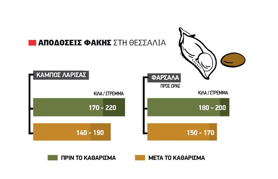 Με αποδόσεις έως 220 κιλά ανά στρέμμα το αλώνι στη φακή