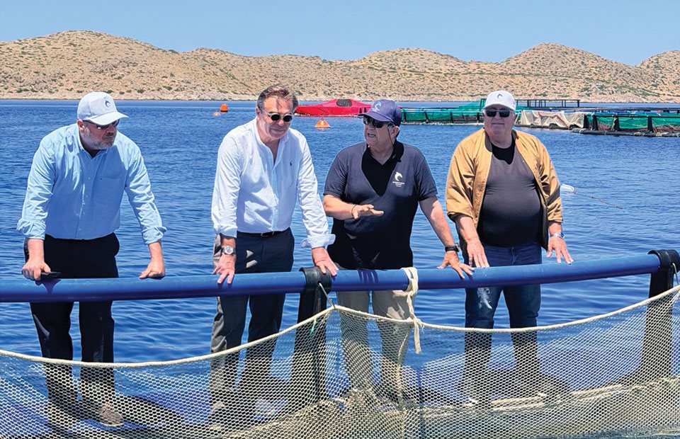Προς ώρας λουκέτα αντί ανανέωση υπαίθρου