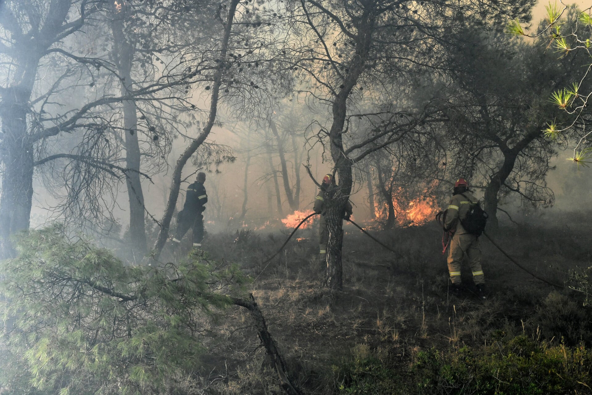 Κορινθία: Οριοθετήθηκε το πύρινο μέτωπο στη Σκαλωσιά Περαχώρας
