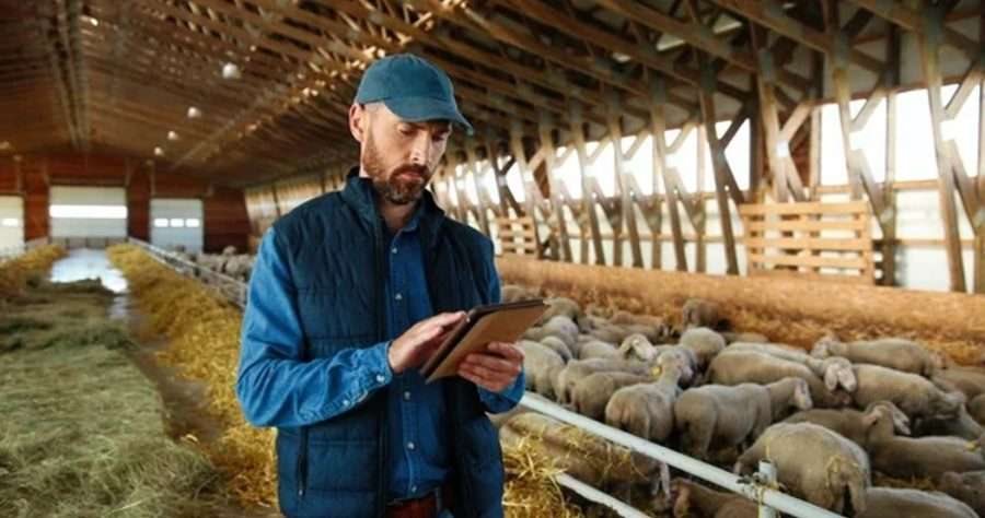 Έως 14/6 εκπαίδευση κτηνοτρόφων για τη λήψη συνδεδεμένων