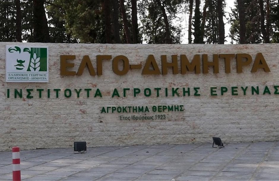 Από 13 Ιουλίου ως 15 Σεπτεμβρίου εγγραφές στις σχολές ΕΛΓΟ-Δήμητρα