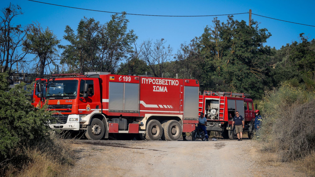 Πυροσβεστική: 5 συλλήψεις για πυρκαγιές από αμέλεια
