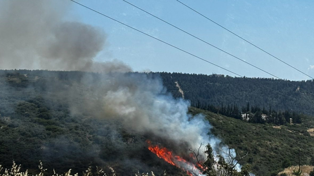 Τρεις συλλήψεις για την πυρκαγιά σε δασική έκταση του Φιλύρου Θεσσαλονίκης