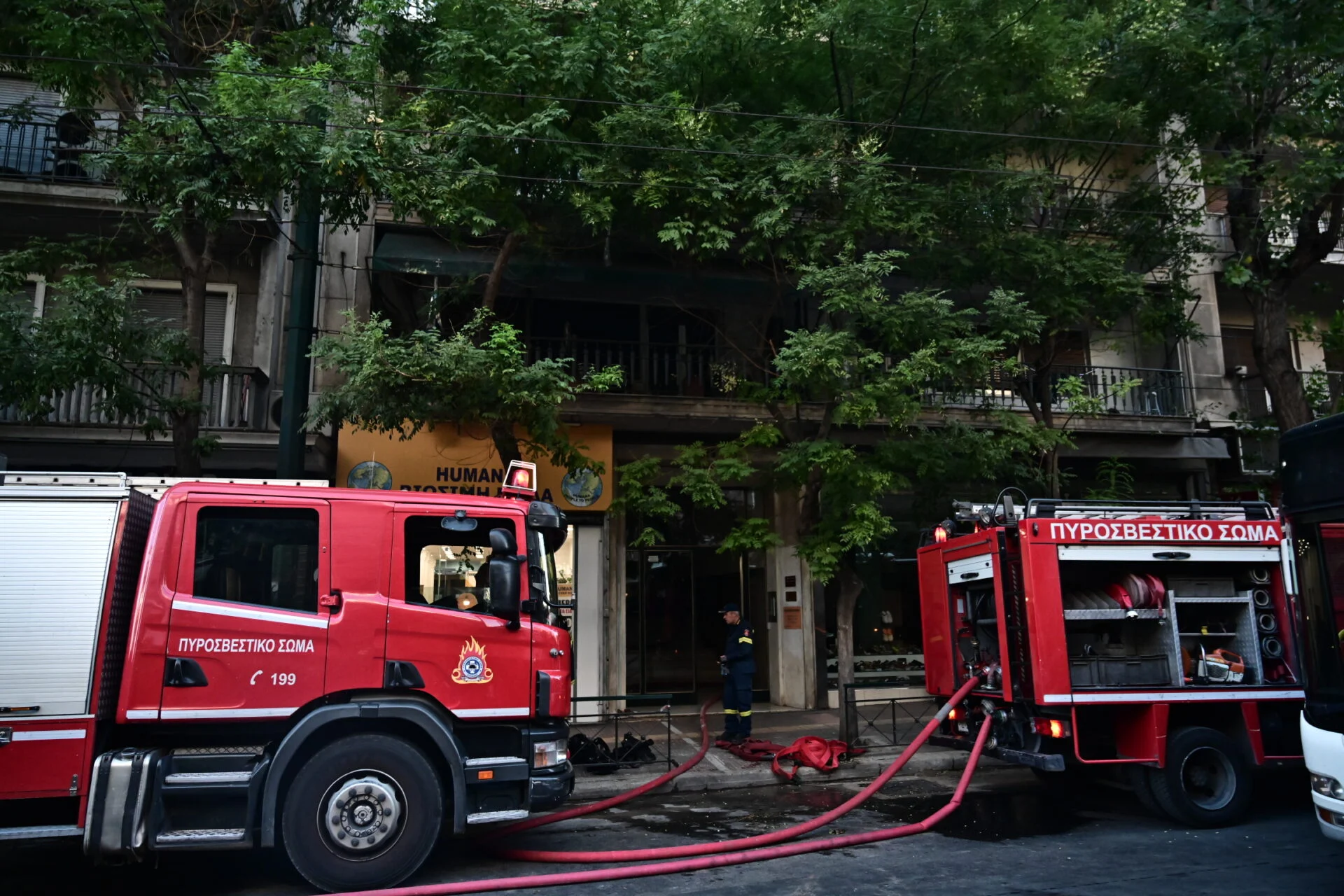Χαλκιδική: Απαγόρευση κυκλοφορίας σε δασικές περιοχές λόγω υψηλού κινδύνου πυρκαγιάς