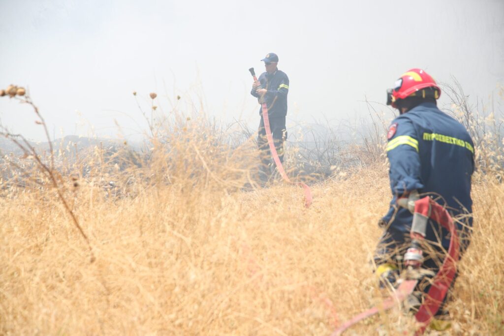 Δύο συλλήψεις για πρόκληση πυρκαγιών από αμέλεια σε Δομοκό και Σαλαμίνα
