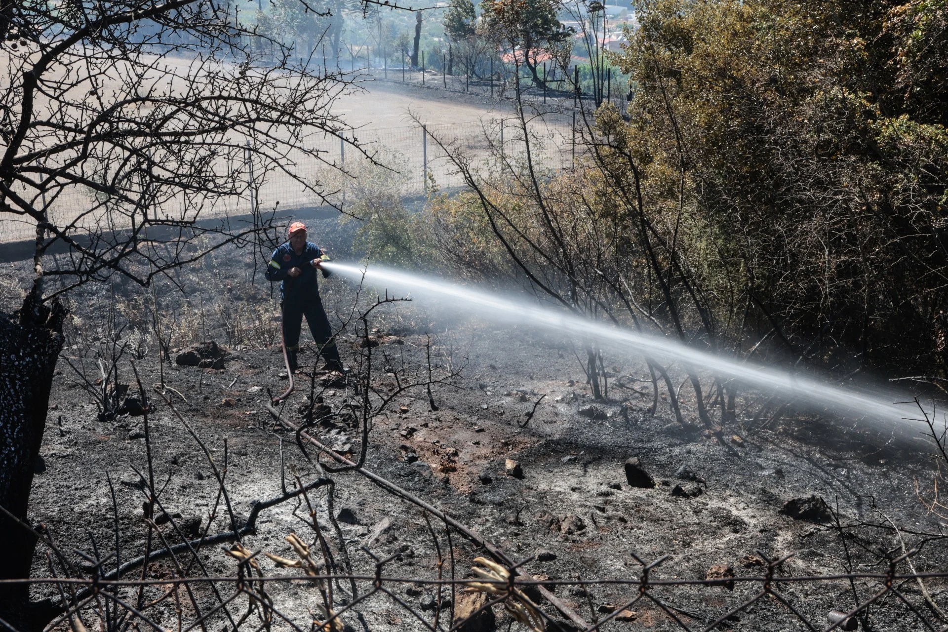 Άμεσα τέθηκε υπό μερικό έλεγχο η φωτιά στην Βλυχάδα Μεγάρων Αττικής