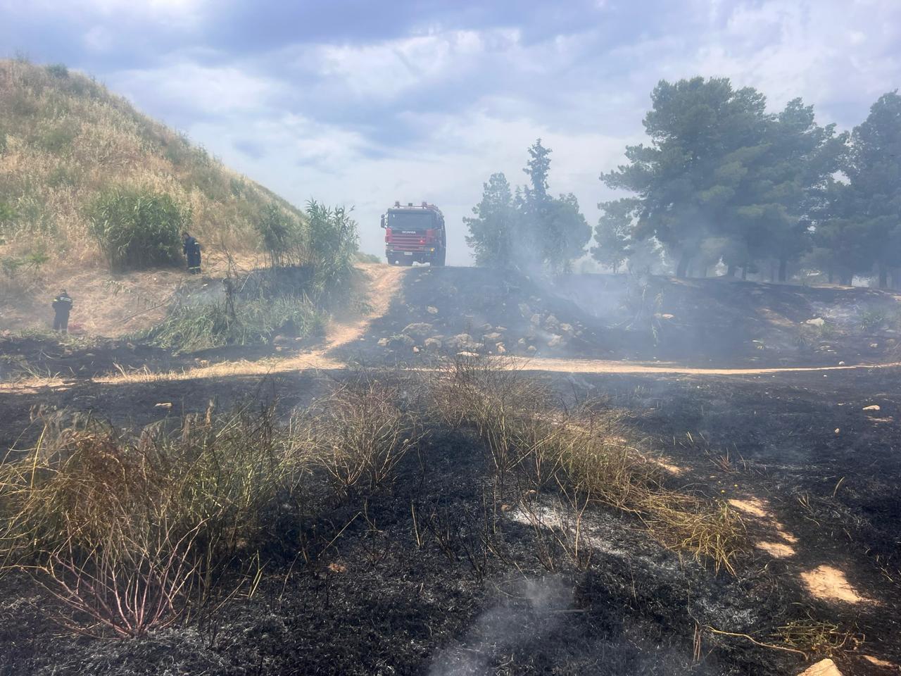 Συνελήφθη 45χρονος μελισσοκόμος για τη φωτιά