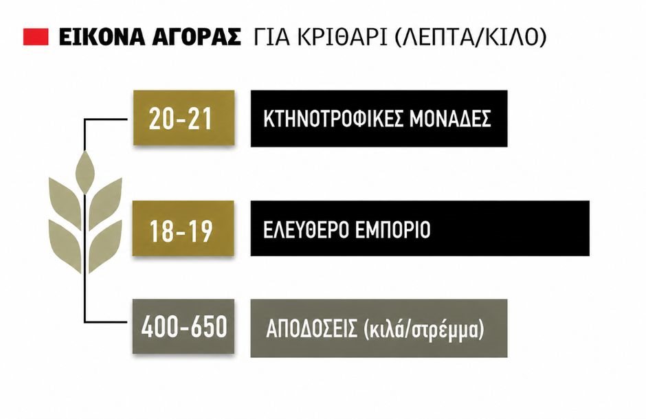 Έως και 19 λεπτά αφήνει το εμπόριο στο κριθάρι, άρχισε με θετικά σημάδια το αλώνι για το σκληρό στη Θεσσαλία