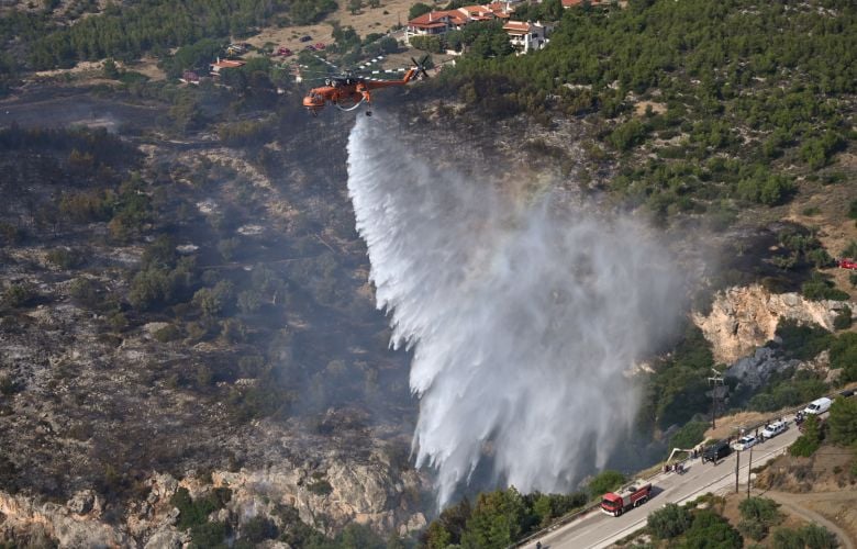 Σε ύφεση η φωτιά στα Σπάτα – Σε γενική επιφυλακή η Πυροσβεστική σε Αττική και Βοιωτία