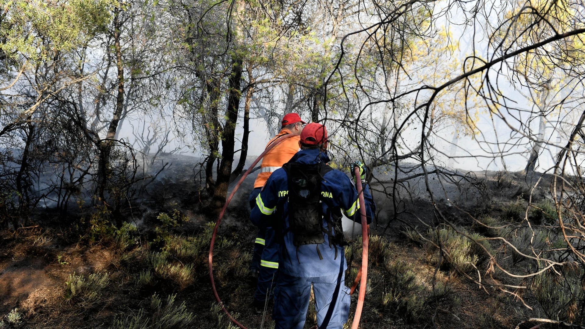 Φωτιά τώρα σε Αγία Τριάδα Μώλου Φθιώτιδας και Καλλιθέα Φαρσάλων