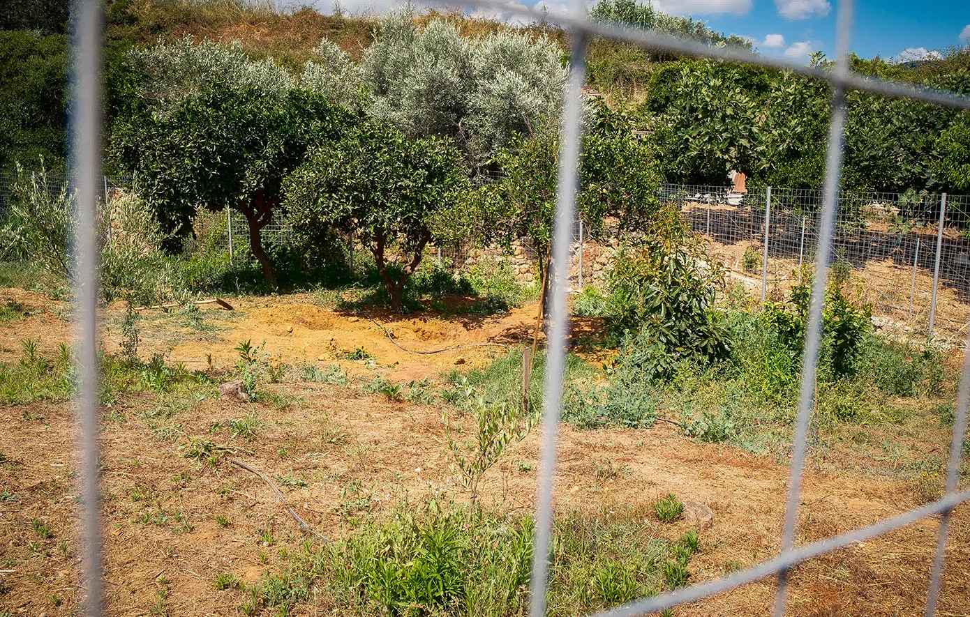 «Πήρα ένα κούτσουρο και την αποτελείωσα» – Σοκ προκαλεί η κυνική ομολογία του 43χρονου καθ’ ομολογίαν δράστη – News.gr