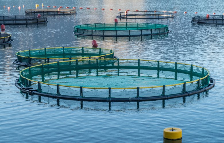 Πρόσκληση 4 εκατ. για χωροταξικό σχεδιασμό υδατοκαλλιεργειών