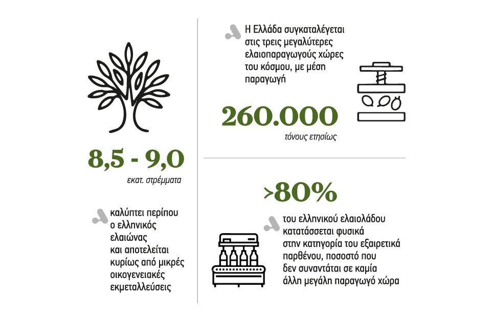 Το χτίσιμο μιας μοναδικής ταυτότητας είναι η μεγάλη στρατηγική επιλογή για υπεραξία στο ελαιόλαδο