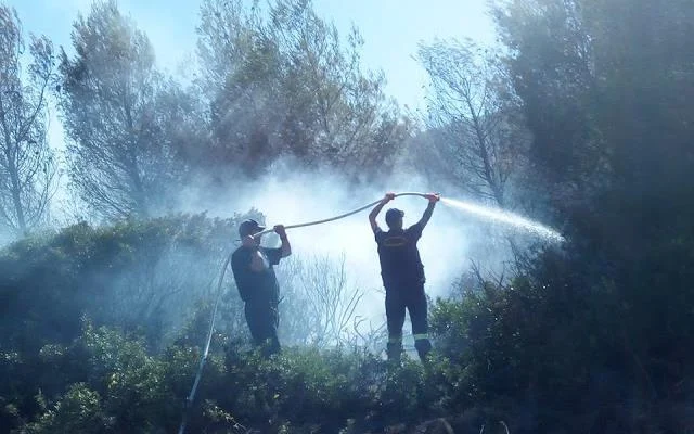 Φωτιά τώρα στις Μαρκάτες Ευβοίας από πτώση κεραυνού