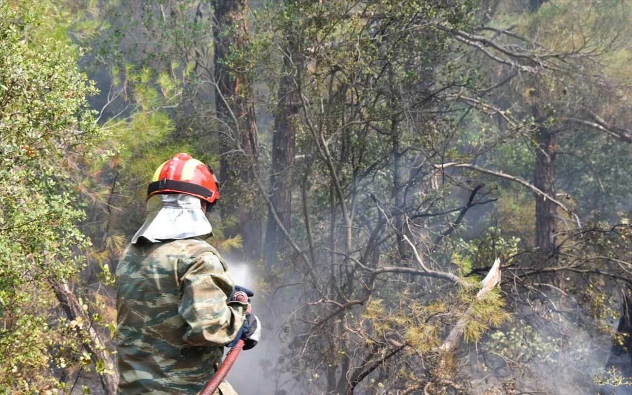 Φωτιά τώρα και στον Ελαιώνα Θήβας