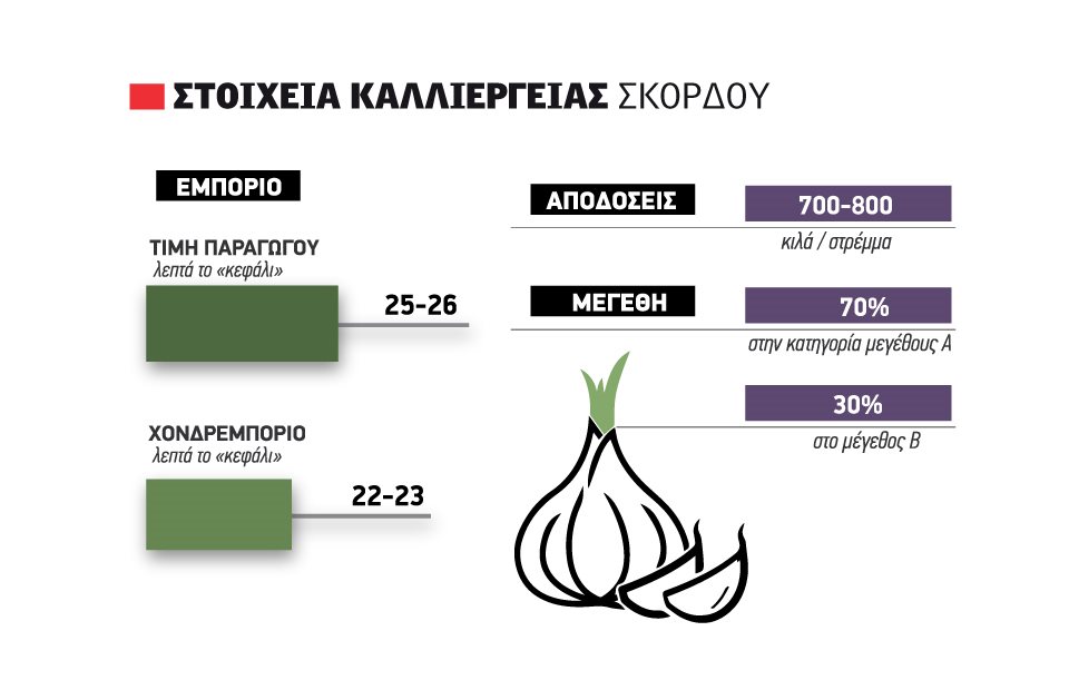 Μέχρι 26 λεπτά το «κεφάλι» ο πήχης διεκδικήσεων φέτος από παραγωγούς σκόρδου