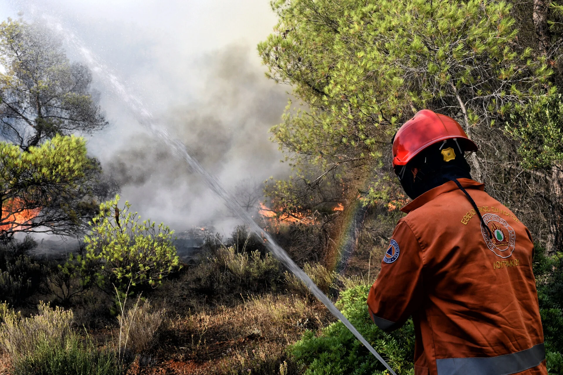 Στις φλόγες δασική έκταση από ανάφλεξη αυτοκινήτου