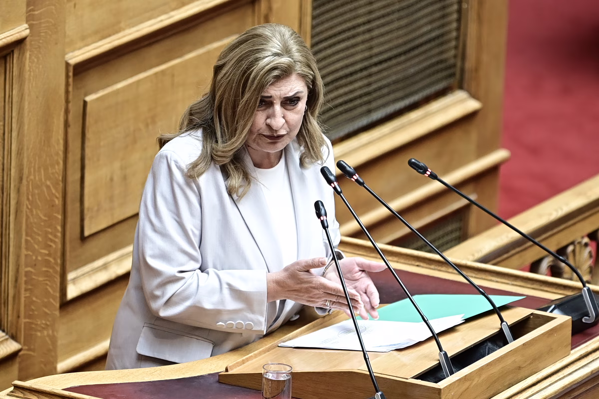 Λιακούλη για τις αγωγές SLAPP Δημητριάδη κατά του in: Νίκη για την ελευθεροτυπία και το κράτος δικαίου