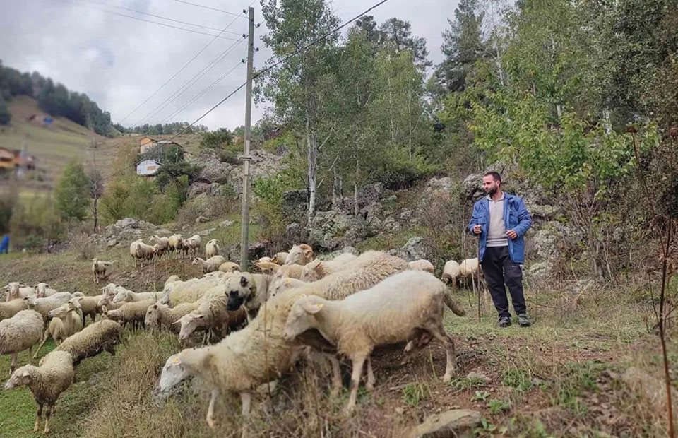 Σύντομα η πρόσκληση για τις εξισωτικές 230 εκατ., στα 12,2 ευρώ το στρέμμα για ορεινές περιοχές και 8,9 για μειονεκτικές τα ποσά