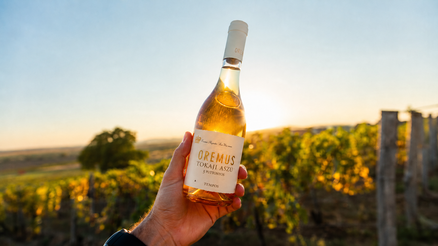 Νέοι κανόνες για το Tokaj φέρνουν αλλαγές στο ιστορικό κρασί της Ουγγαρίας