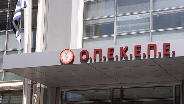 ΟΠΕΚΕΠΕ: Αντιμέτωποι με διώξεις Σκρέκας, Μπουκώρος, Σενετάκης και Παπακώστα - Να υποβαθμίσει το θέμα επιχειρεί το Μαξίμου