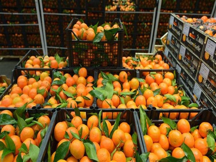Επεκτείνεται το πλεόνασμα αγροδιατροφικών προϊόντων της ΕΕ στις αρχές 2026