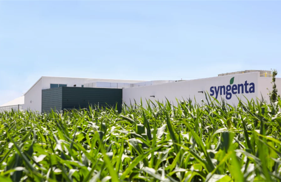 Συνεργασία Syngenta και Groundwork BioAG στον τομέα των μικόρριζων