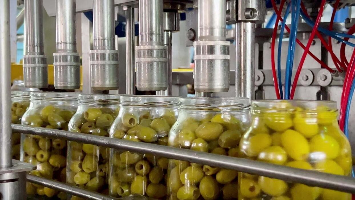 Φτιάχνει κατάλογο ισπανικών προϊόντων για εμπάργκο ο Τράμπ, αναταράξεις στην αγορά ελαιοκομικών