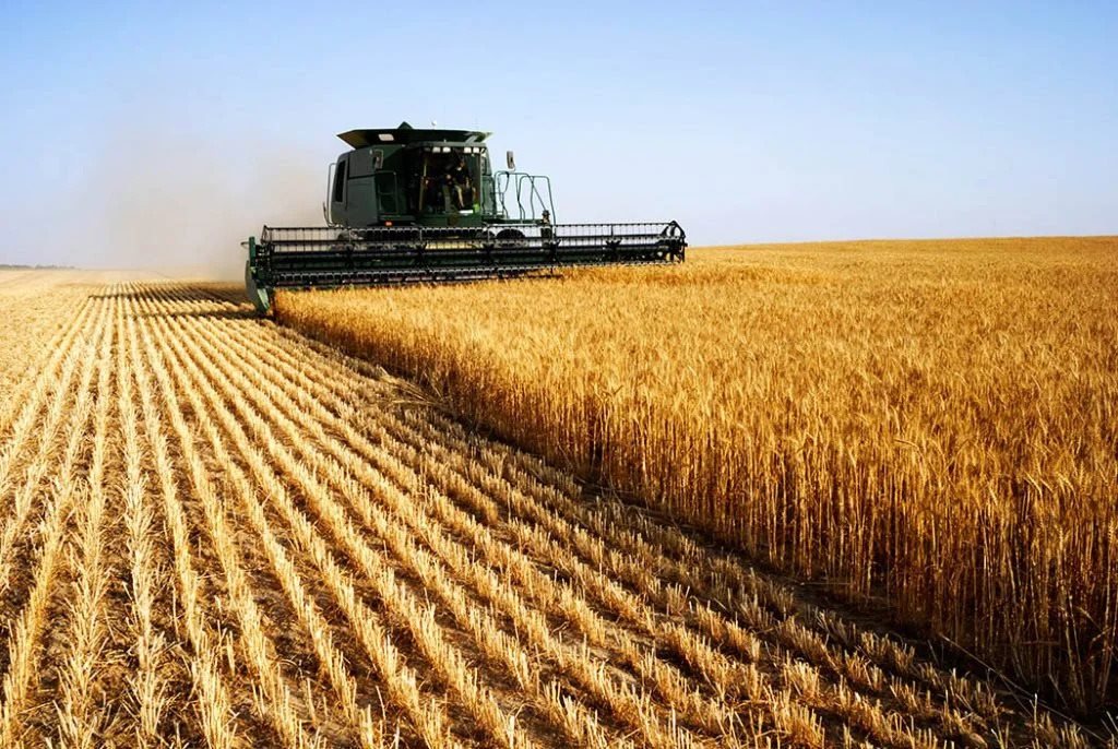 Ισχνή πτώση για το δείκτη τιμών τροφίμων του FAO τον Ιούνιο