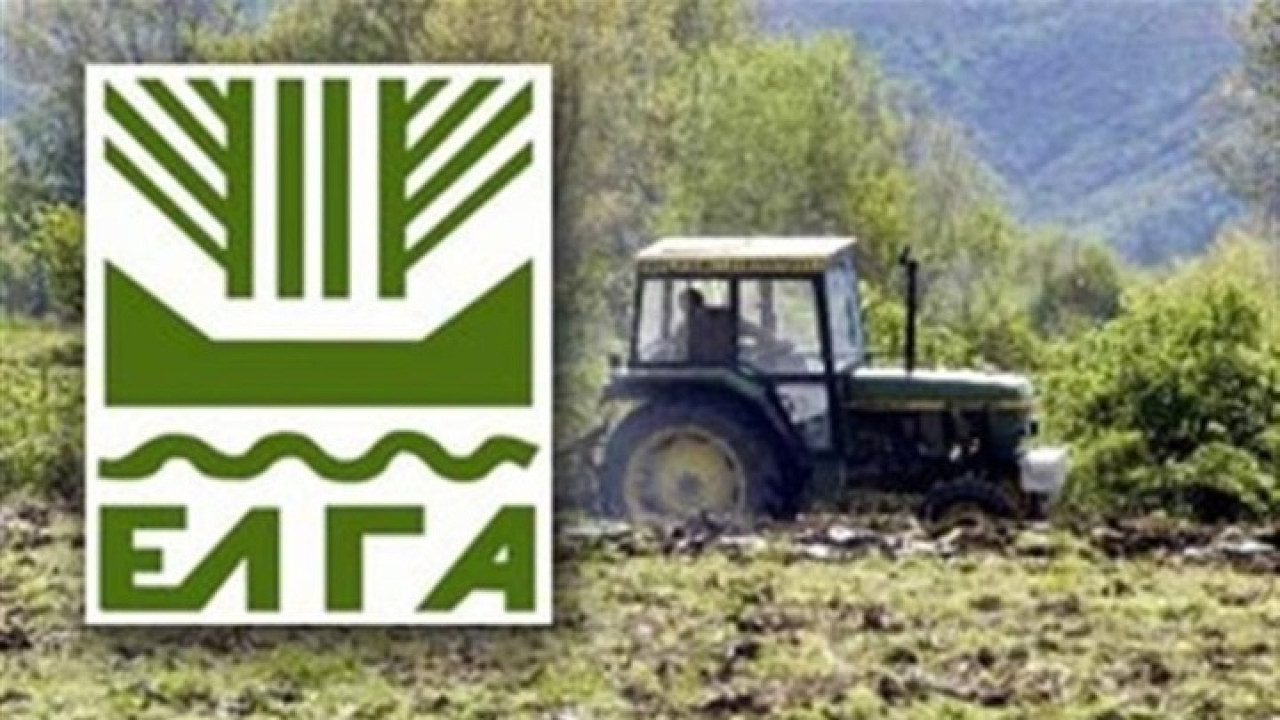 ΕΛΓΑ: Ξεκίνησαν οι καταγραφές ζημιών από τις χαλαζοπτώσεις – Τροπολογία για αποζημιώσεις στο 100%