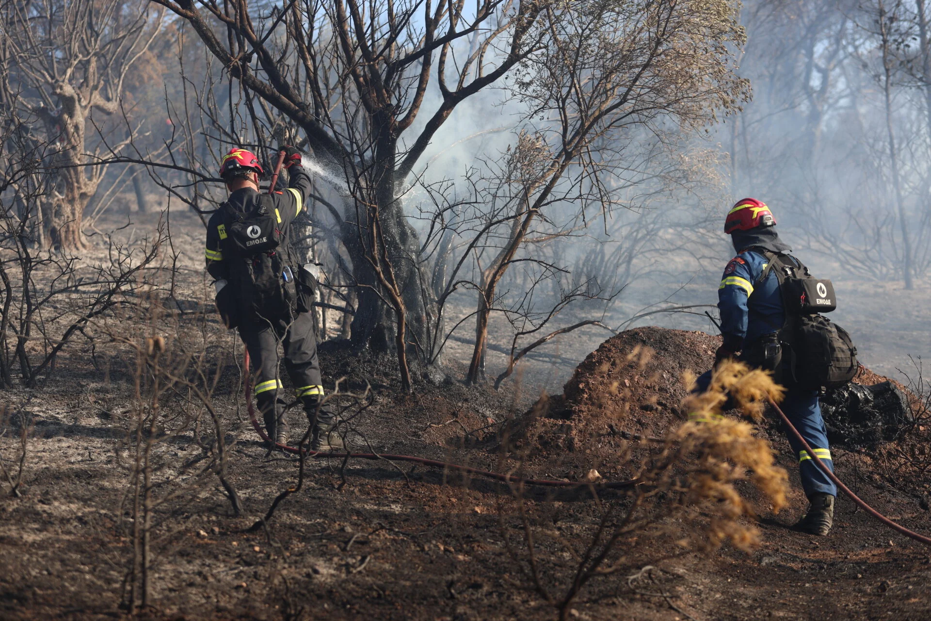 Υπό πλήρη έλεγχο φωτιά σε αγροτοδασική έκταση 40 λεπτά μετά την εκδήλωσή της